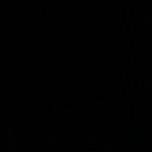 Meet your Posher, Kya